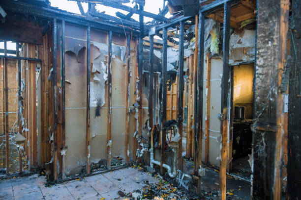 Professional Fire Damage Removal technician working in Corvallis, MT